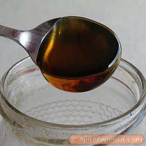 foto de miel de bosque de alta calidad para apiterapia HD